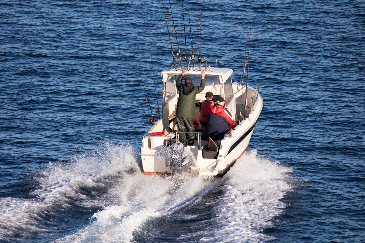 Dra på fisketur